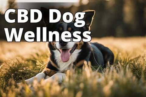 Uncovering the Amazing Benefits of CBD for Dogs: A Complete Guide
