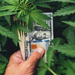 5 Ways to Save Money on Medical Marijuana