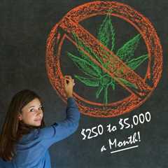 You Can Now Give $250 to $5,000 a Month to Fight Marijuana Legalization and Keep Weed as a Schedule ..