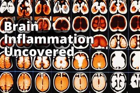 Exploring Brain Inflammation: Key Causes, Symptoms, and Treatment Insights