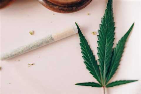 Enhance Your Stress Therapy With CBD Oil Absorption