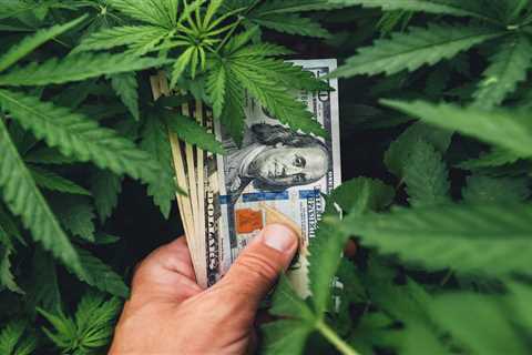 5 Ways to Save Money on Medical Marijuana