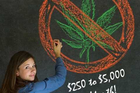 You Can Now Give $250 to $5,000 a Month to Fight Marijuana Legalization and Keep Weed as a Schedule ..