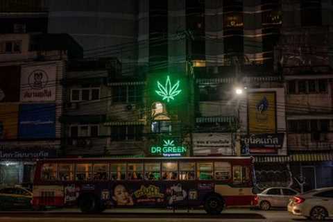 ⚠️  THAI CANNABIS GROUPS URGE GOVERNMENT TO RETHINK PLAN TO RE-CRIMINALISE…