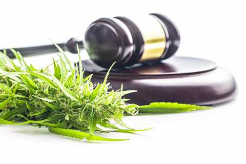 The Difference Between Decriminalization and Legalization of Cannabis