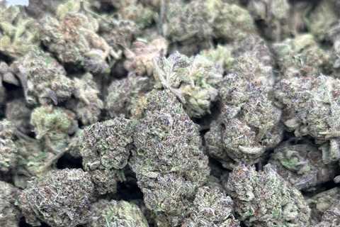 Obama guava runtz  $2300/P,$1150/HP,$575/QP https://t.co/6vUayD6RXF #weed #CBD…