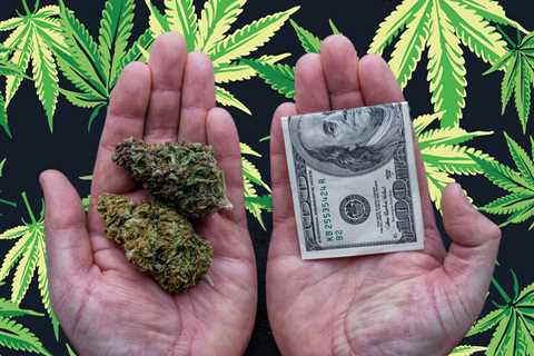 The 4 Most Expensive Marijuana Strains on the Market Today (And 4 Cheaper Strains That Are Just As..