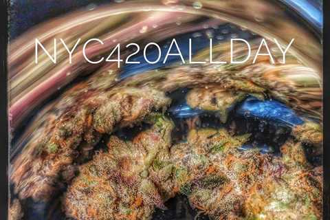 All The Colours Of Cannabis In One Seed.  #nyc420allday #irishcannabis…