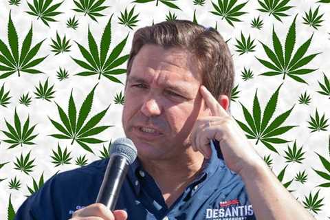 Will Gov. Desantis' Weed 'Strategery' Work on the Florida Pot Industry? - Keep Hemp to Infuriate..