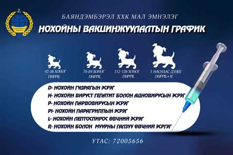 Нохойны Эрүүл Мэнд Вакцин - MMARKET.MN