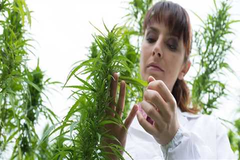 How many acres is hemp farming profitable?