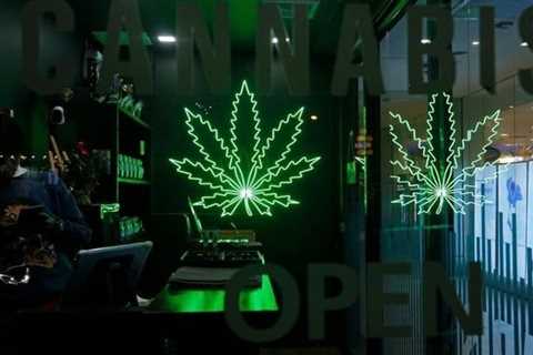 What They Don’t Tell You About Working in a Weed Dispensary