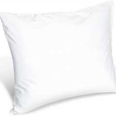 20 x 26 Inches Pillow Review: Medical Marvel!