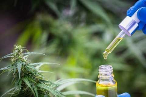 Cannabis use in Americans with diabetes on the rise  Experts have expressed…