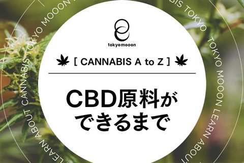 ヘンプバイオマスからCBDを抽出法で精製する方法について解説しました！身近になりつつあるCBDが出来上がるまでのプロセスについて詳しく知りたい方はこちらをご覧く
