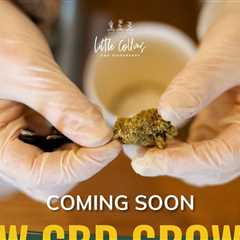 Keep an eye out for new exclusive strains coming to our dispensaries soon! 🌿…