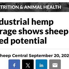 INDUSTRIAL hemp forage containing very low levels of the psychoactive…