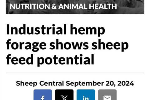 INDUSTRIAL hemp forage containing very low levels of the psychoactive…