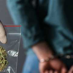 Over 600 People per Day Were Arrested for Simple Marijuana Possession in 2023 - The Drug War Rolls..