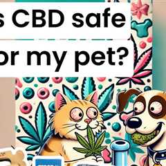 🐾 Did You Know There's CBD for Your Pets? 🐾 Help your furry friends relax and…