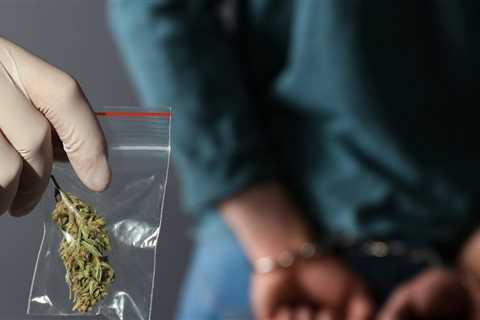 Over 600 People per Day Were Arrested for Simple Marijuana Possession in 2023 - The Drug War Rolls..