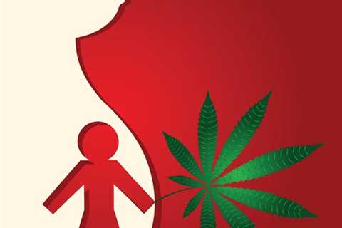 Maternal Cannabis Use Does Not Lead to Higher Rates of ADHD or Behavior Disorders in Children Says..