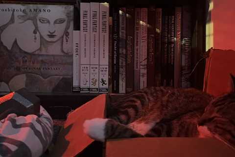 absorbing kino through osmosis https://t.co/FfUNyA7DTE