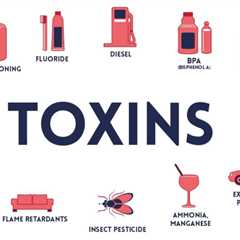 Understanding the Sources of Toxins in Your Body