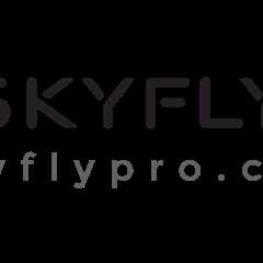 Sky Fly - Define Your Site’s Purpose and Strategy