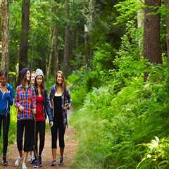 The Healing Power Of Nature: How Pediatric Therapists in Richmond, KY, Incorporate Natural Remedies ..