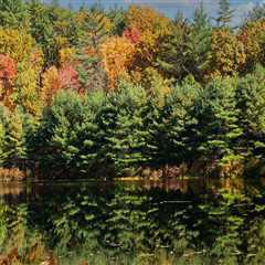 The Tranquil World of Wellness Centers in Hampden County, Massachusetts