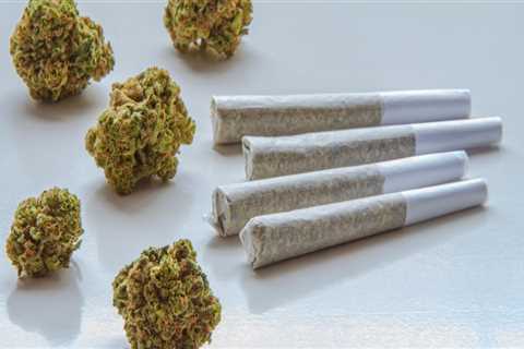 A Beginner's Guide To Hemp Flower Pre-Rolls In Michigan: What You Need To Know