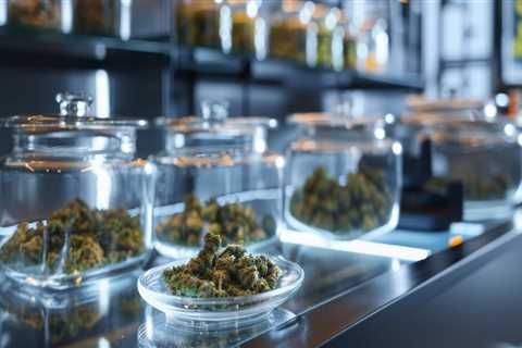Exploring Sour Diesel Indica Or Sativa: Finding Your Ideal Strain At Michigan Marijuana Dispensaries
