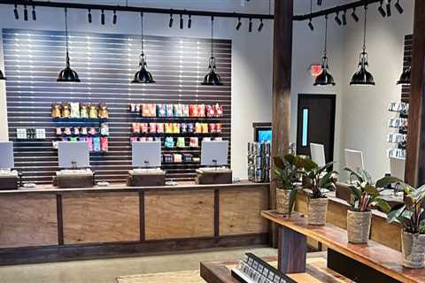 How To Choose The Right Vaporizer For Your Visit To A Kalamazoo Dispensary