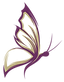 What Is The Role Of A Funeral Director?