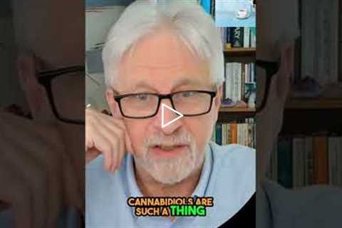 Burnout? The Secret Hormone in Beer & Baths You Need to Know! #shorts