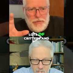 Body Parasites vs. Politicians: Who's More Problematic? #shorts