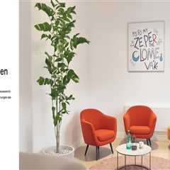 Regulationsstörungen beim Baby