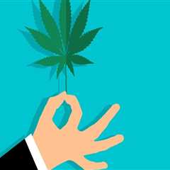 Exploring CBD in Addiction Recovery in Portland, Maine