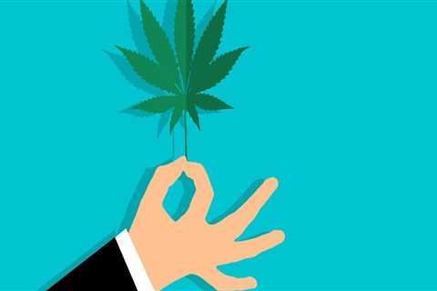 Exploring CBD in Addiction Recovery in Portland, Maine