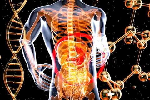 Gut-Brain Connection Hypnosis: Rewiring the Vagus Nerve for Stomach Health