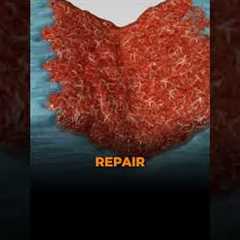 Are you treating pain or fixing the overload?