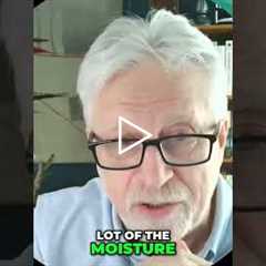 Colon Health: What Happens When Waste Stays Too Long? #shorts
